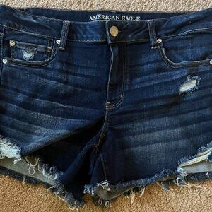 AE Next Level Stretch Shorts